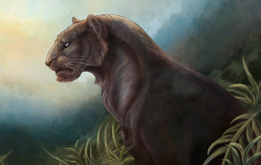 A panther || Not looking for relationship || RP Account
