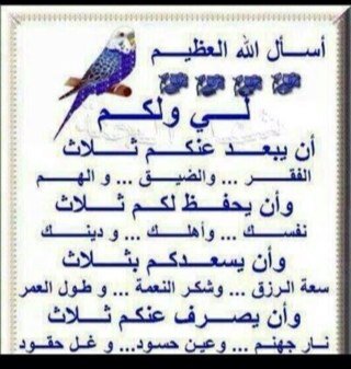 (لا إله إلا الله وحده لا شريك له ، له الملك وله الحمد وهو على كل شيء قدير)