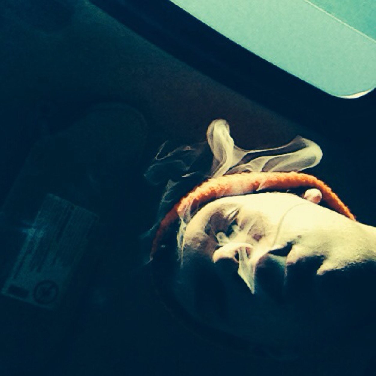 EDM producer, photographer, and writing a screenplay #FWM #traplord #bootysquad #thefamily