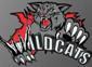 Wildcat Fan Forever