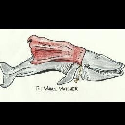 When the seas became a nuclear cesspool of medusas and squid, only those marine mammals with the mutated ability to fly survived. We sent them to New York City.