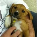 baby girl - @AnnaHaines5 - Twitter