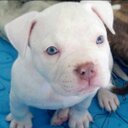 Daniel Ardila - @Ardila13Daniel - Twitter