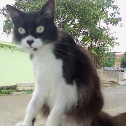 vividani76's profile picture. 