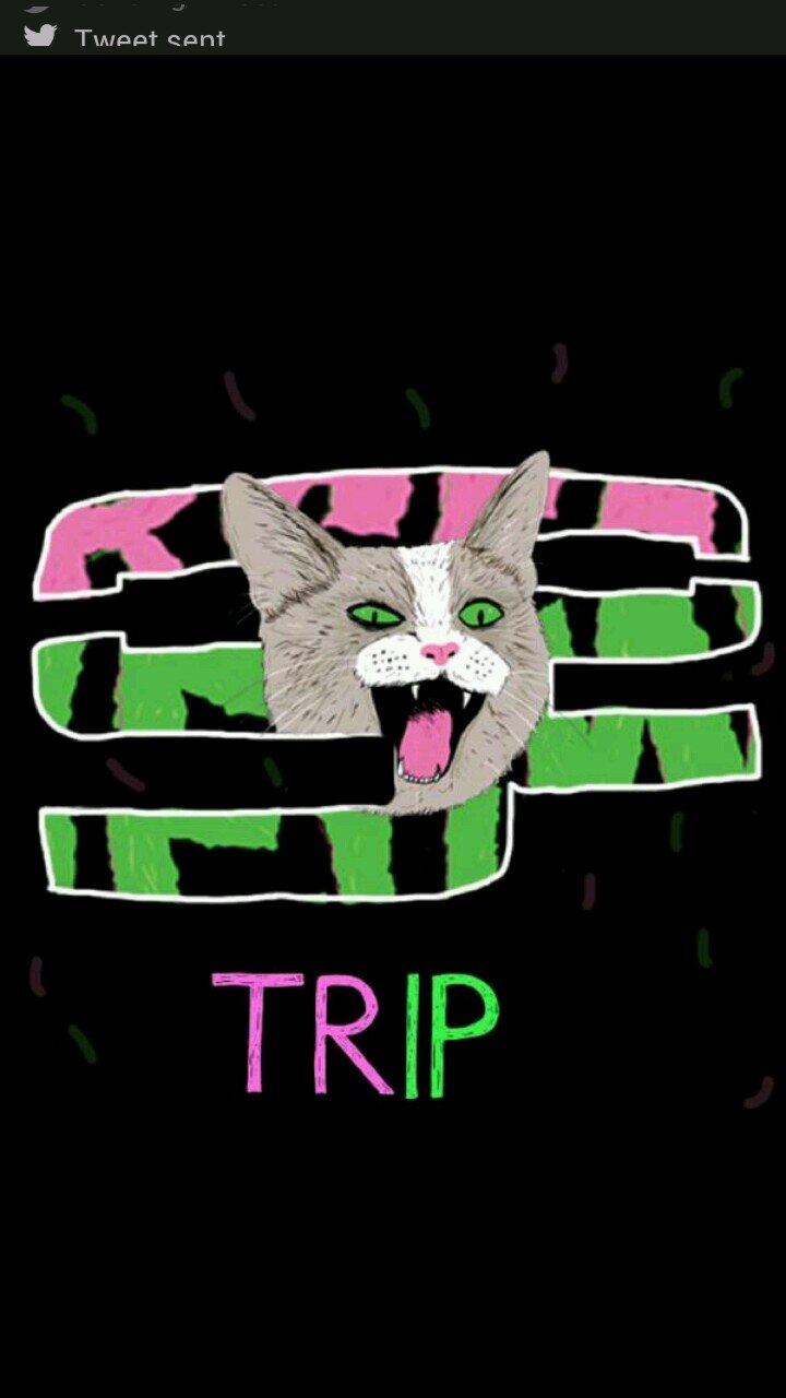SwS_Trip Profile Picture