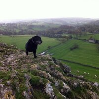 Ms R (@bobbs75) 's Twitter Profile