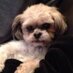 KelliMom (@liljammoe) Twitter profile photo
