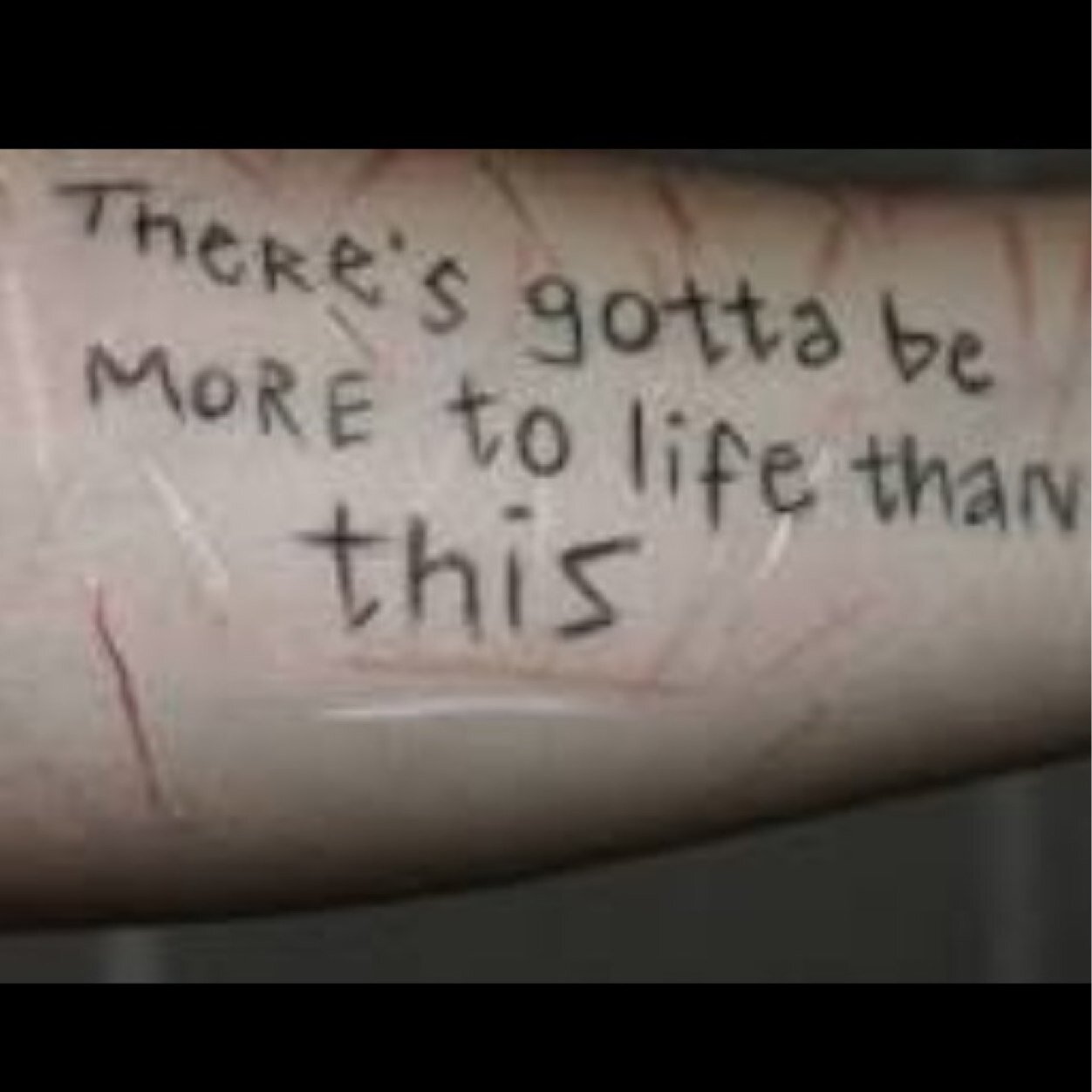 all_cut_up's profile picture. Self Harm. Depression. Bulimia. 16 y/o. Letting people down since 2011.