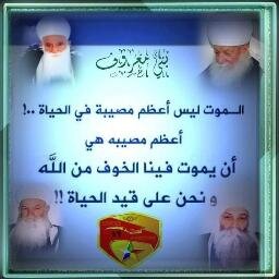 ADS10314657's profile picture. 