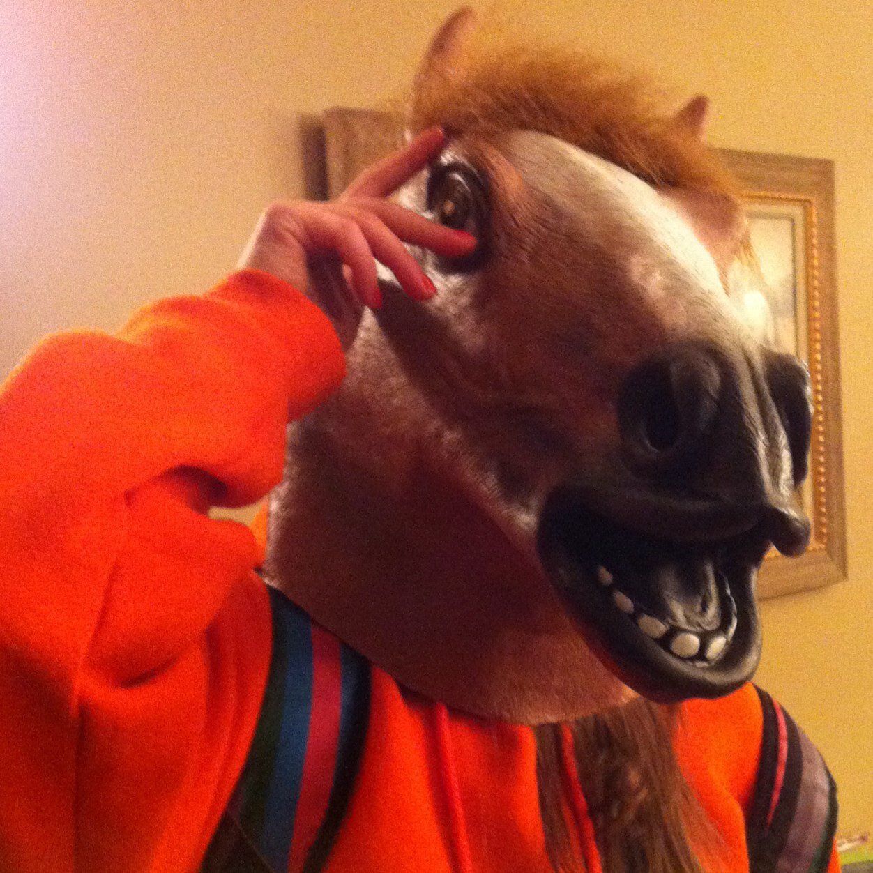 Horse heading at its finest
-all photos are mine