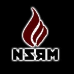 NSRheinMain's profile picture. 