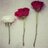 dodi01798116's profile image
