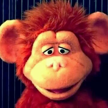 iDetlefdnb's profile picture. smile at life mabye it will smile back to you