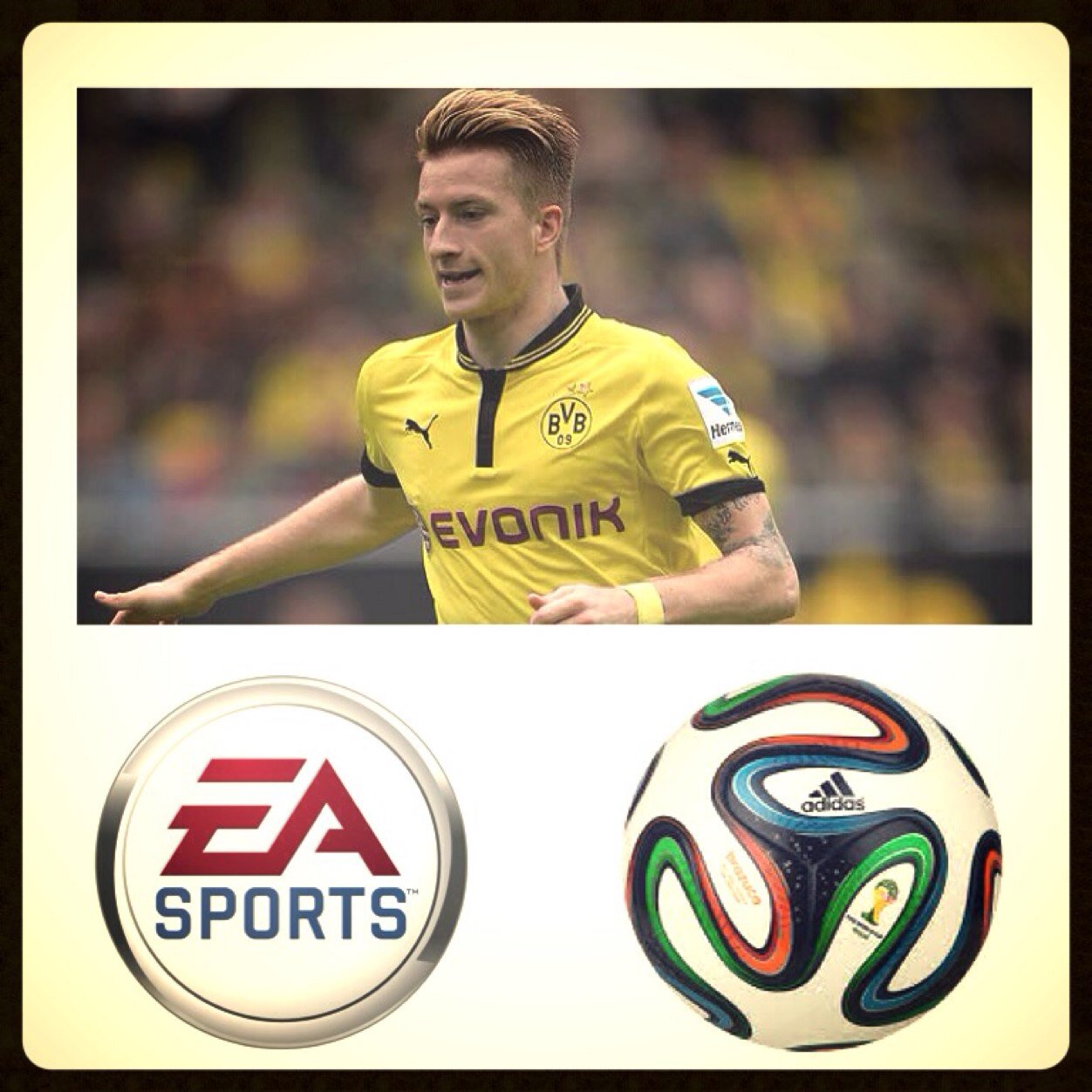 Football Fan // Dortmund and Ajax