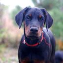 Elaine Vickers - @MrsBiff - Twitter