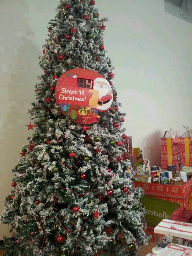 Area11Xmasquiz's profile picture. fun at work