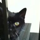 Jean marie Feeney - @JeanFeeney - Twitter