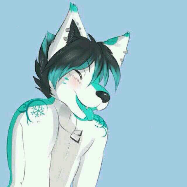 hello iam Artic!