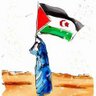 bewge's profile picture. Voices & visions from Western Sahara