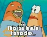 nnjahoneybadger's profile picture. 