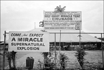 HonkytonkTR's profile picture. The Great American Honkytonk Revival Music Festival