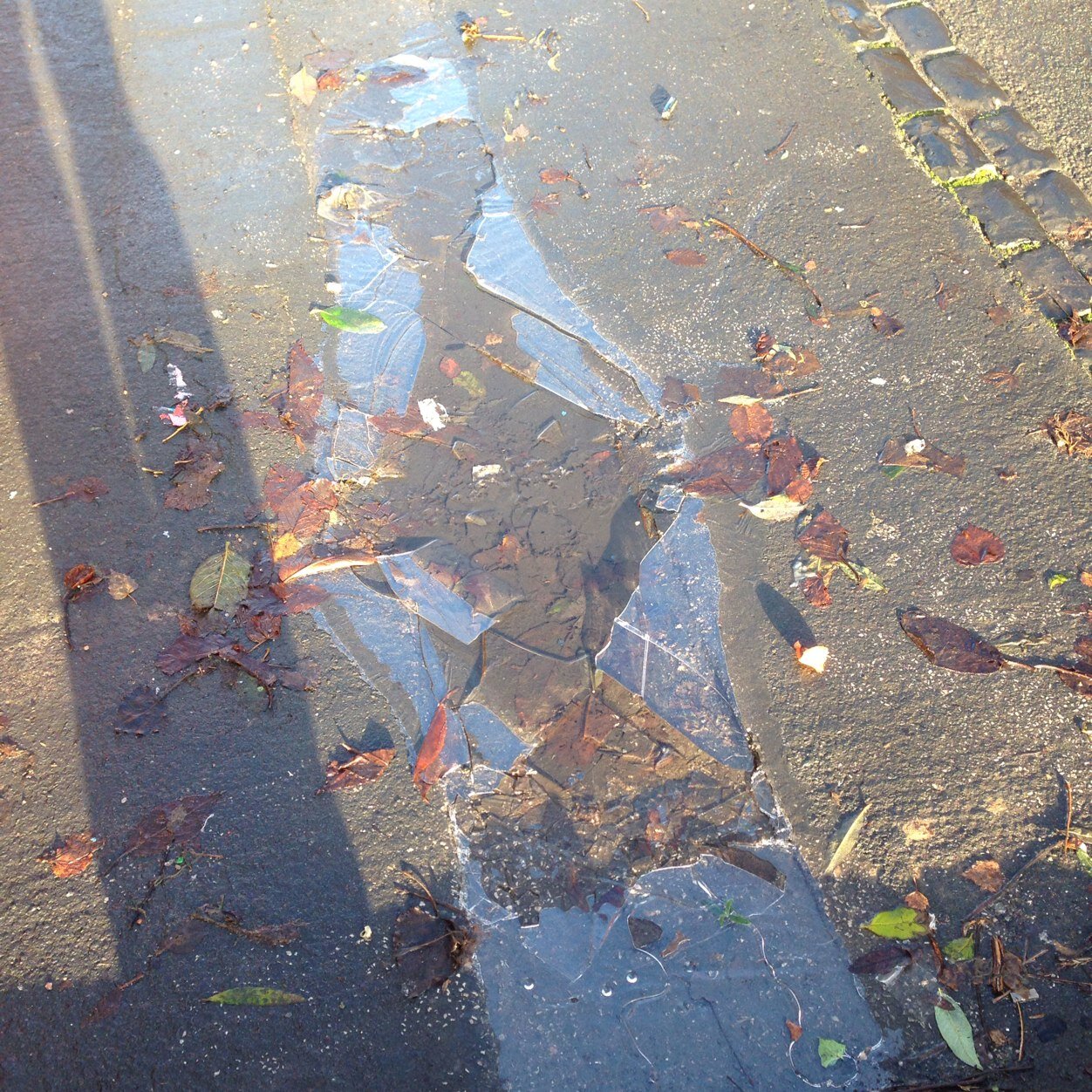 ghost_mother's profile picture. synthetic and redundant into another high