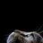 Jelou_Kilradoon's profile image