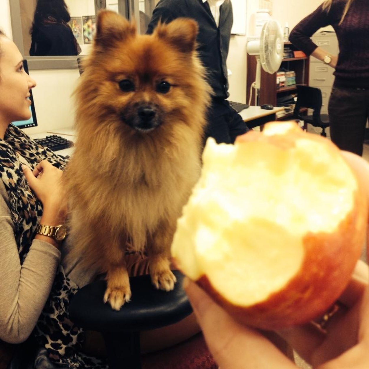 ChristianeJost's profile picture. http://t.co/vJljGqZzaq