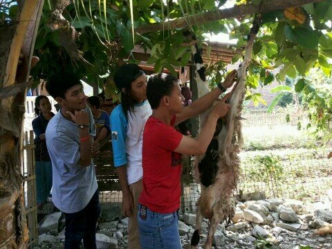 my live my adventure