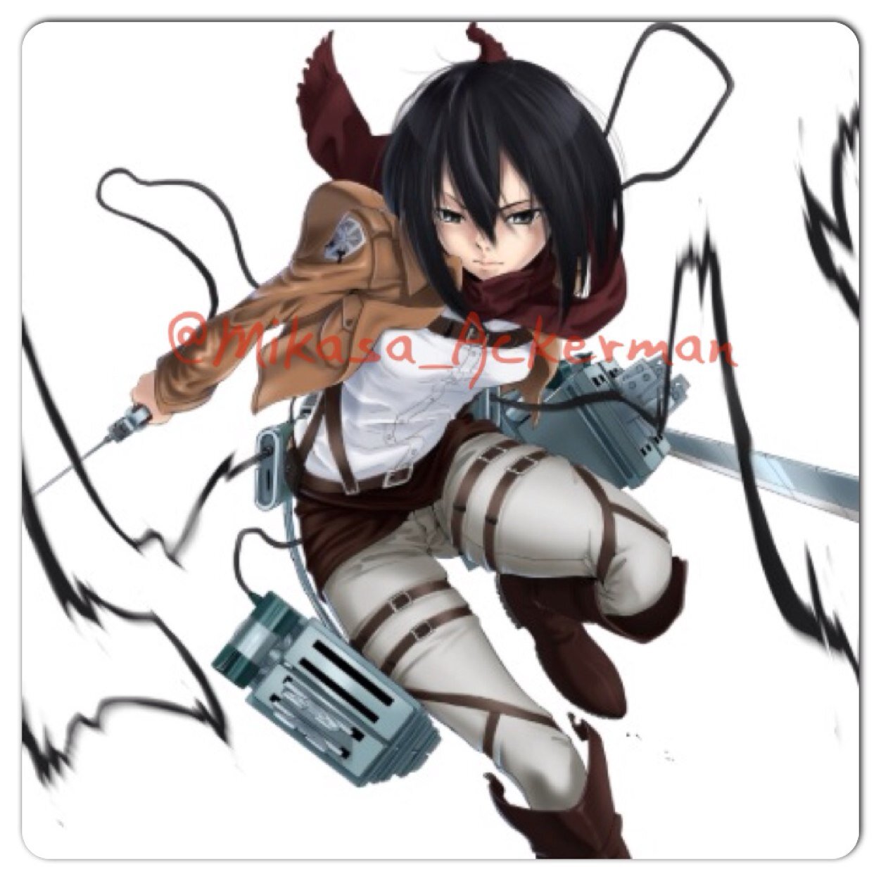 SlayerMikasa's profile picture. I am Mikasa Ackerman, an Elite Soldier, part of the Survey Corps. When I was younger, my family was killed… Only Eren Jaegar is my family… #OOC #SNKRP