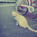 mizuki (@0320_co) Twitter