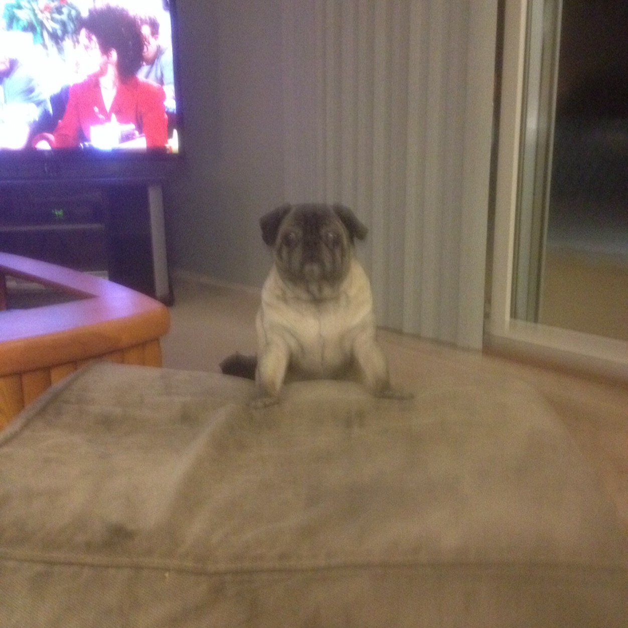 jherbert830's profile picture. 