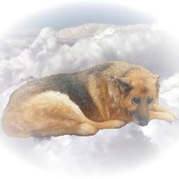 le_ar_yad's profile picture. No siempre atinada, pero nunca borrego. No soy de derecha, pero si lejísimos de la izquierda nacional