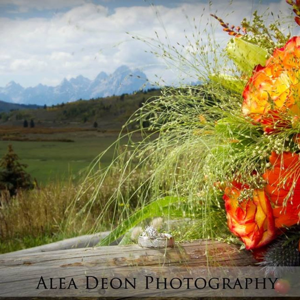 Alea Deon Photography & Elopements~ Preserving your precious moments. Jackson Hole and Grand Teton Elopements.