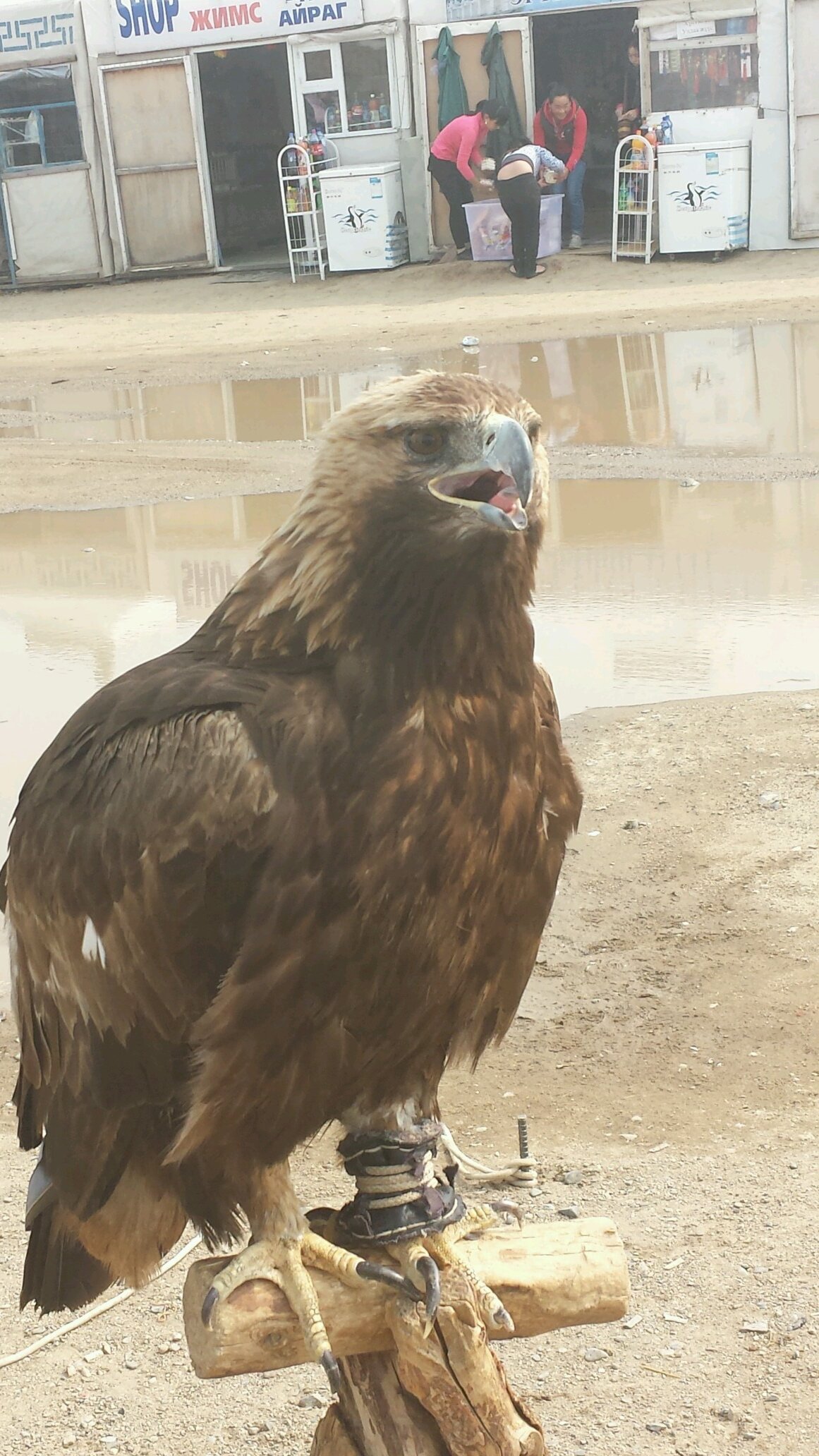 bagshlah durtai