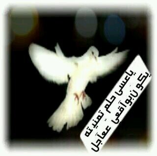ربي وكلت لك امري فكن لي خير وكيل ودبرني فاني لااحسن التدبير امين