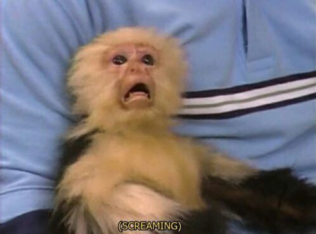 fuckupfaith's profile picture. Never lose your flames