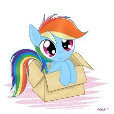 Hi im Dashie Parents @mlp_jared @DashJared Sis @MlpLolipop Bro @dash_jared @SnowFlakeIssaic1 Grandma @mld_RainbowDash Grandma @mlp_Rainb0w
