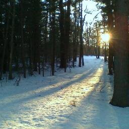 aberdonian67's profile picture. Be something you love and understand.