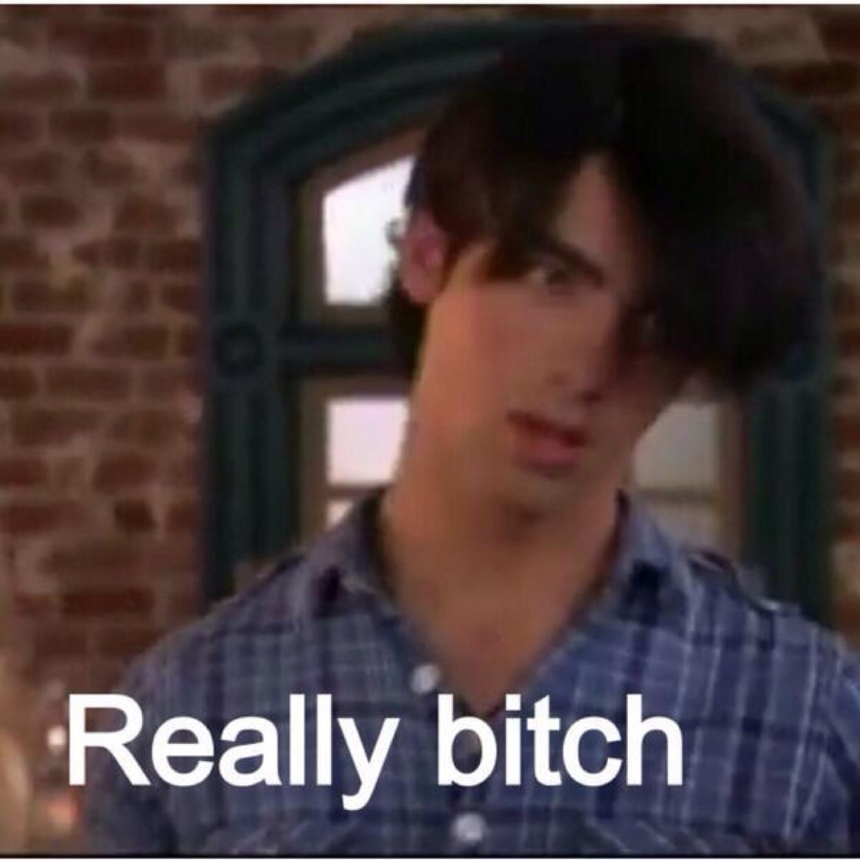 I just really love the Jonas Brothers