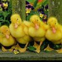 Marie Koster - @mballk50 - Twitter