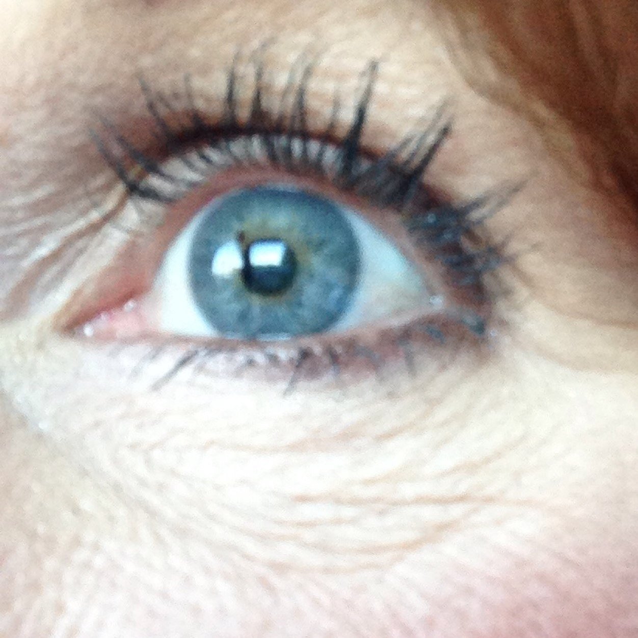 Mesquite_girl's profile picture. Married my best friend, 2 Amazing kids, MOM the Best Job! 2 Crazy Dog, 2 Sweet Cats & Wide open space