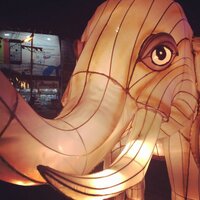 masami shiMeUzu (@riddimm_k) 's Twitter Profile Photo