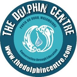 Dolphin Interactions, Dolphin Retreats, Whale viewing, Film & Photo. Responsible Marine Mammal Tourism