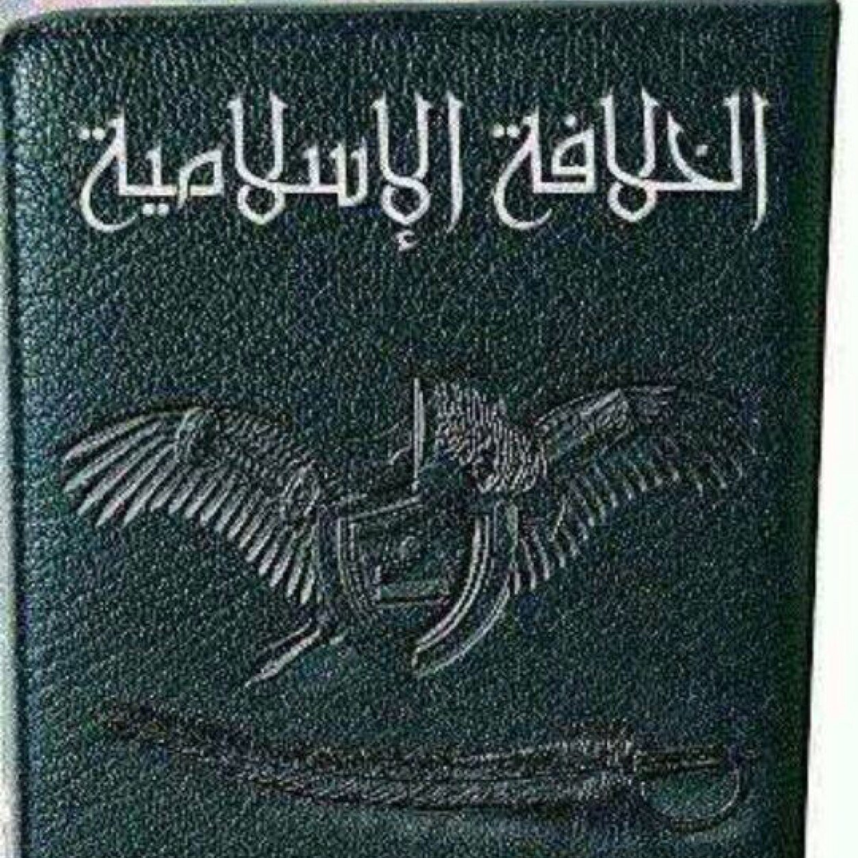 عذرًا يا نساء العالم لدي إمرأه لا استطيع خيانتها