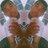 RaafaelVieira_'s profile image