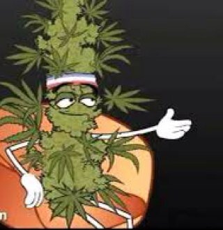 Phuckd_Face's profile picture. Stay calm and just
blaze it, faggott.