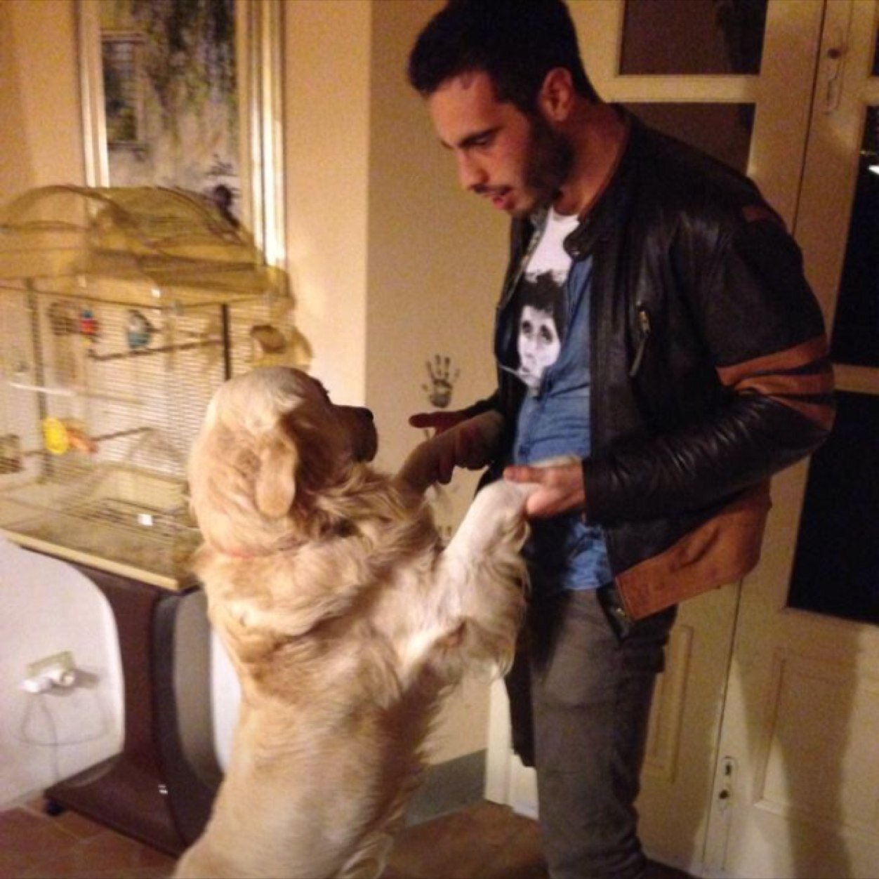 AlbertoSari's profile picture. 