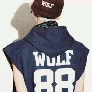 #Inspirit. #Exostan . Ienawr. Stay in Exo Planet with my 12 idiot wolves. (｡･ω･｡)  Follow me juseyo.