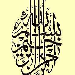 مهندس إتصالات - أعمل فى شركة خاصة - متزوج - أحفظ القرآن الكريم بأحكامه - مجاز بالقراءات العشر الصغرى
